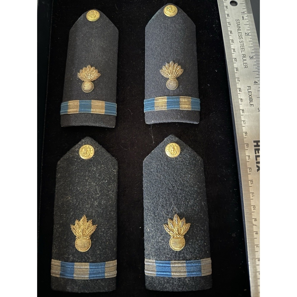 Us Navy Cwo Ordinance Technician‎ Hard Shoulder Boards. 3931. Set Of Two